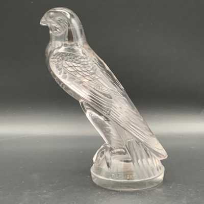 falcon