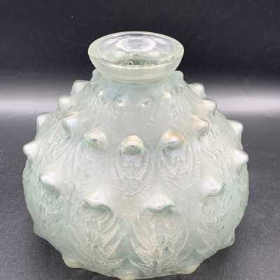Fern vase