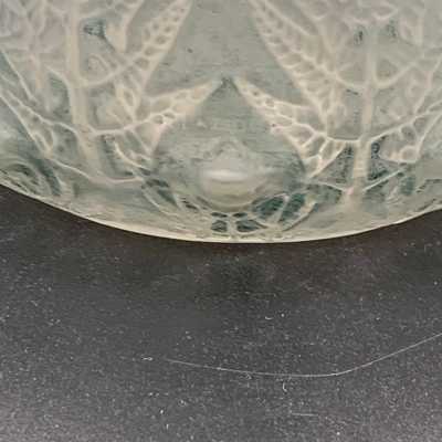 signature Fern vase