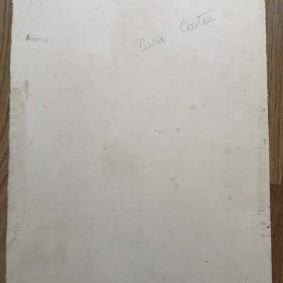 Lithograph by Cara Costea