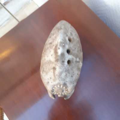 Mammoth ocarina