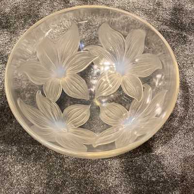 lily cup