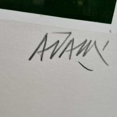 adami