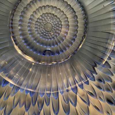 plate center
