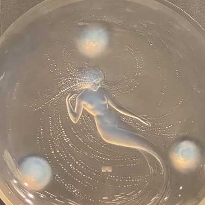 center of the dish