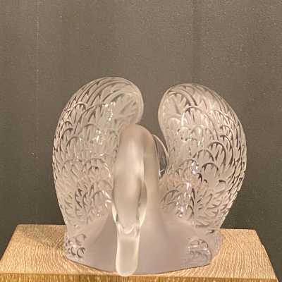 face swan