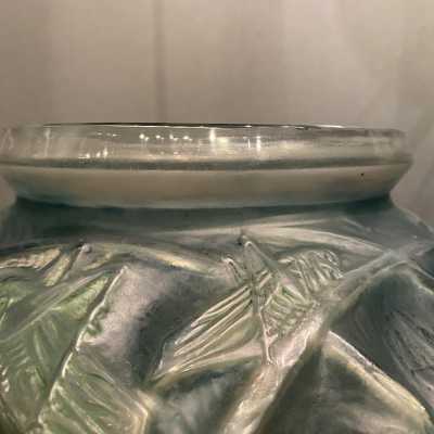 collar