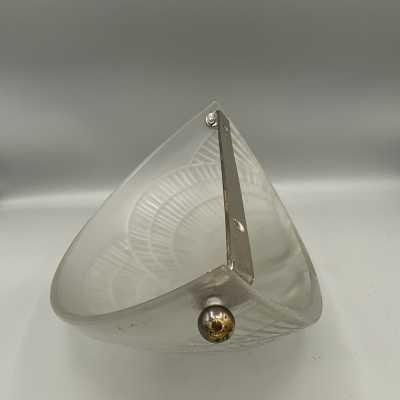 shell back