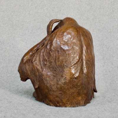 Male Orangutan by Florence Jacquesson
