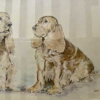 Watercolor Cocker Spaniel