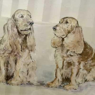 Dogs