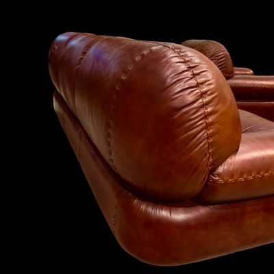 Salon cuir fauve