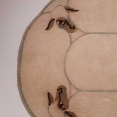 Lalanne Rugs