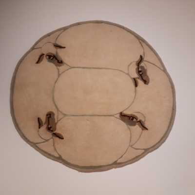 Lalanne Rugs
