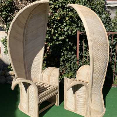 Rattan, palm