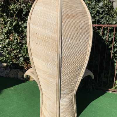 Rattan palm