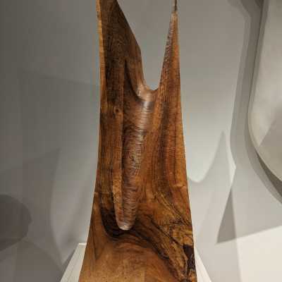 Grande sculpture en bois forme libre circa 1970 France