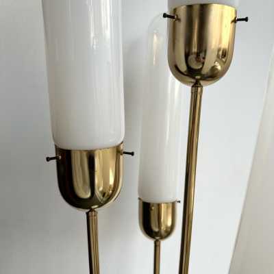 Mid-century modern space age brass Roseau floor lamp, smoky white blown Murano glass tube shade by Italian design manufactory Mazzega. Famous manufacturers such as Venini, La Murrina, Seguso, Carlo Aldo Nason, Poliarte, Esperia, Angelo Brotto, Stilnovo, Arteluce, Arredoluce, Artemide, Pierre Cardin, Lumi, Luci, Raak, Angelo Lelii, Francesco Bocola, Superstudio, Enrico Tronconi, Mario Bellini, Harvey Guzzini, Luigi Massoni, Martinelli, Fabio Lenci, Gio Ponti.