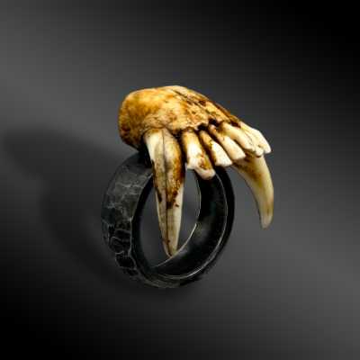 BAGUE - France