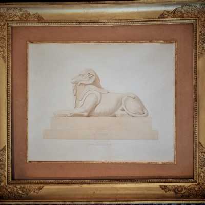 Aquarelle du Criosphinx, XIXème siècle