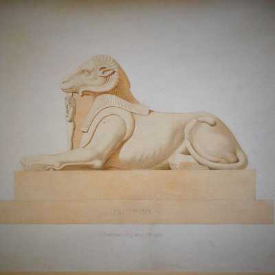Aquarelle du Criosphinx, XIXème siècle