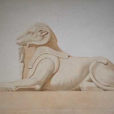 Aquarelle du Criosphinx, XIXème siècle