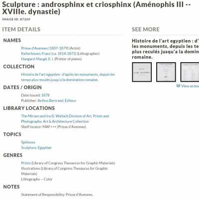 Aquarelle du Criosphinx, XIXème siècle