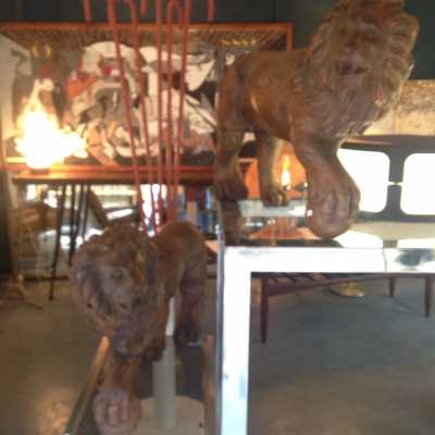 Lions, fin XIXème siècle