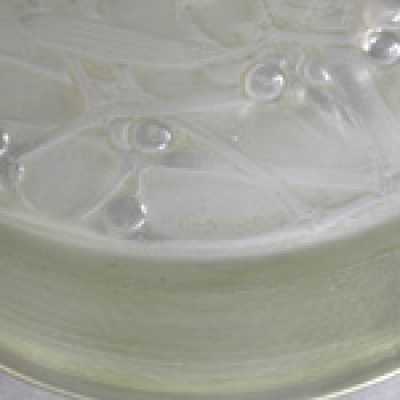 Boîte René Lalique, 1920