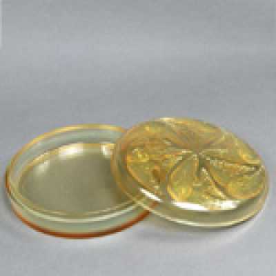 Boîte René Lalique, 1921