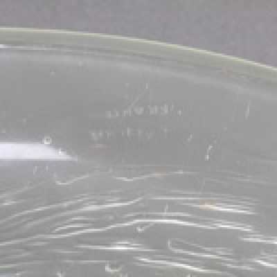 Coupe René Lalique, 1920