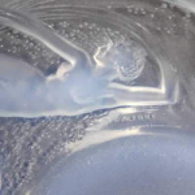 Plat René Lalique, 1921