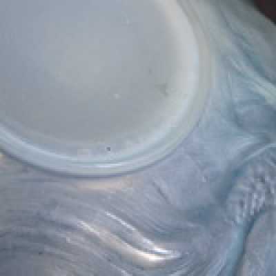 Vase René Lalique, 1924
